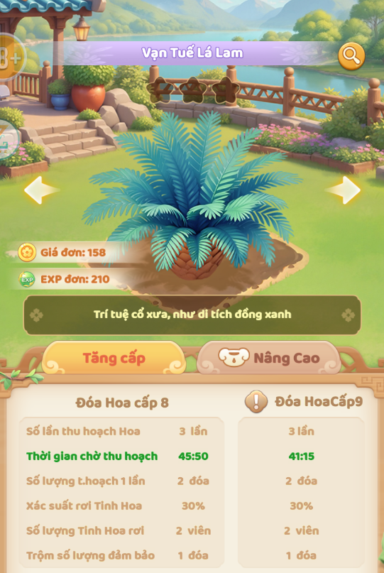 Vạn Tuế Lá Lam